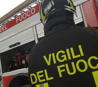 A Ceva salvato un cervo ferito sulla Torino-Savona