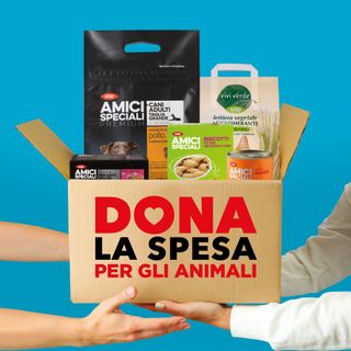 Vuoi aiutare gli animali meno fortunati? Acquista i prodotti alla Nova Coop di Bra, Cuneo e Savigliano Vuoi aiutare gli animali meno fortunati? Acquista i prodotti alla Nova Coop di Bra, Cuneo e Savigliano