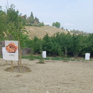 La nuova tartufaia "La Fontana" a Neviglie: luogo legato all'acqua
