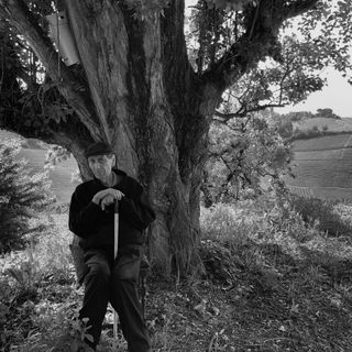 Beppe Colla, grande produttore e innovatore (Foto: Bruno Murialdo)