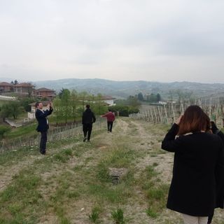 Ruchè e Barbera d'Asti coi formaggi Castelmagno e Toma Piemontese grandi protagonisti del progetto E4Quality