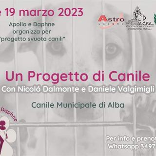 Il Canile di Alba ospita il "Progetto di Canile" per capire il metodo giusto di adozione