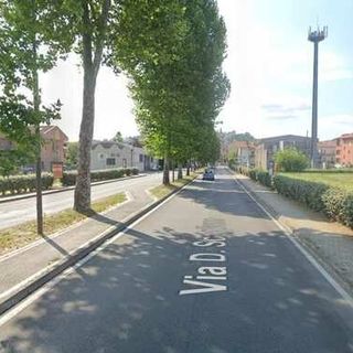 Platani in via Dario Scaglione ad Alba (Immagine estiva)