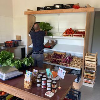 Il 1 maggio ad Alba la "Festa dell'inserimento lavorativo" firmata Alice Onlus