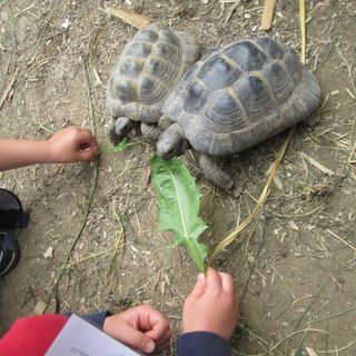 Avventurosa esperienza per i bambini della scuola primaria di Murazzano al Parco Safari