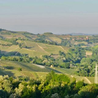 Il Roero accoglie la primavera con sei appuntamenti (Foto Ecomuseo Rocche del Roero)