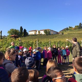 Gli alunni delle classi seconde della Scuola Primaria "G. Rodari" di Alba nei vigneti della Scuola Enologica, accompagnati dal prof. Binello