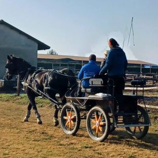 Bra, fa tappa in piazza Giolitti la carovana di carrozze condotte da ragazzi disabili