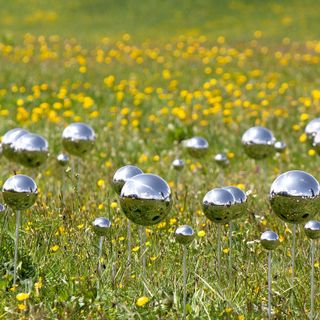 L'artista Stefano Caimi inaugura Fairy L'artista Stefano Caimi inaugura Fairy