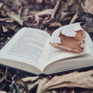 Benvenuto ottobre e alla magia dell’Ottobrata