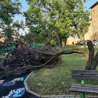 Foto di Luciano Leone Foto di Luciano Leone