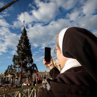 L'arrivo e la posa dell'abete in piazza San Pietro (Ph. Ansa Giupiemofoto)