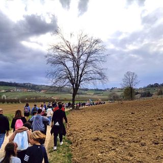 Negli scatti alcuni momenti della marcia della pace tenuta ieri tra Magliano Alfieri e Castagnito Negli scatti alcuni momenti della marcia della pace tenuta ieri tra Magliano Alfieri e Castagnito