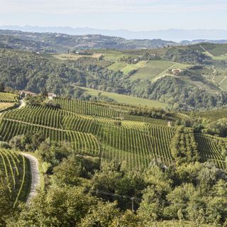 Immagine di repertorio, panorama del Roero - fotografia di Marco Badiani