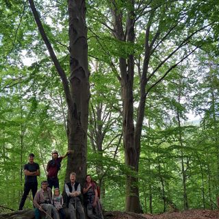 Alba, incontri con Langa Silvatica "I want to be tree"