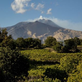Etna & Barolo: istituzioni e produttori siciliani ospiti nelle Langhe in occasione della Fiera del Tartufo Etna & Barolo: istituzioni e produttori siciliani ospiti nelle Langhe in occasione della Fiera del Tartufo