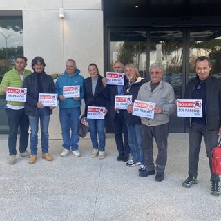 Predazioni da lupo, CONAPI e ADIALPI portano le istanze degli allevatori al Ministero