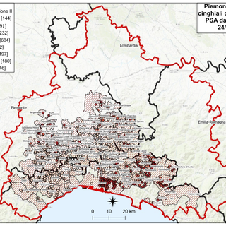 La peste suina africana più vicina alla Granda: rilevato un caso a Calamandrana, a dieci km da Santo Stefano Belbo La peste suina africana più vicina alla Granda: rilevato un caso a Calamandrana, a dieci km da Santo Stefano Belbo
