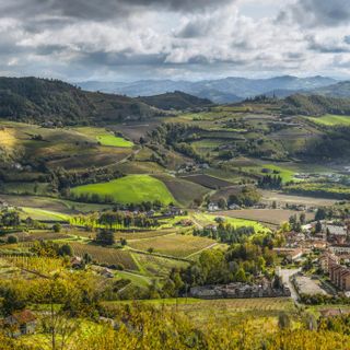 I vigneti dell'Alta Langa