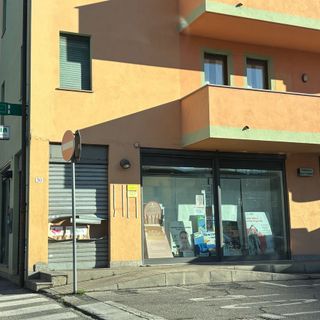Mondovì, armati di flessibile danno l’assalto a due farmacie. Un bandito inseguito e fermato dai Carabinieri Mondovì, armati di flessibile danno l’assalto a due farmacie. Un bandito inseguito e fermato dai Carabinieri