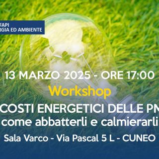 Risparmio energetico, workshop per le aziende promosso dall’unione di categoria Energia &amp; Ambiente di Confapi Cuneo