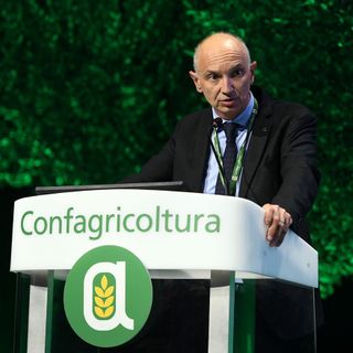 Enrico Allasia, presidente di Confagricoltura Piemonte