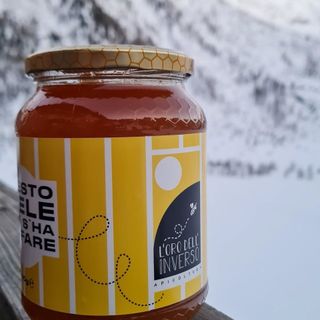 STORIE DI MONTAGNA 161 / Kevin e il miele che “non s'ha da fare”!