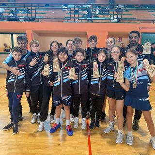 Alba Shuttle a Milano