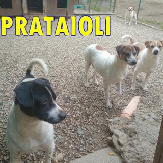 I Prataioli
