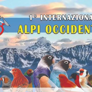 In autunno a Farigliano la Prima Mostra Ornitologica Internazionale