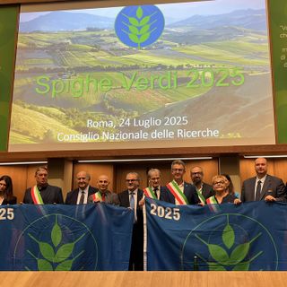 Alba è Comune Spiga Verde 2025: "Un riconoscimento che conferma l'impegno dell'amministrazione" Alba è Comune Spiga Verde 2025: "Un riconoscimento che conferma l'impegno dell'amministrazione"