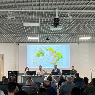 Peste suina, un incontro per presentare il piano di controllo Peste suina, un incontro per presentare il piano di controllo