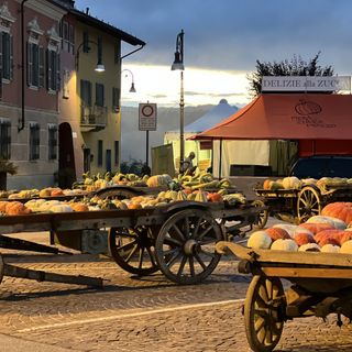 Il 4 e 5 ottobre torna la Fiera Regionale della Zucca, da oltre 30 anni simbolo di Piozzo