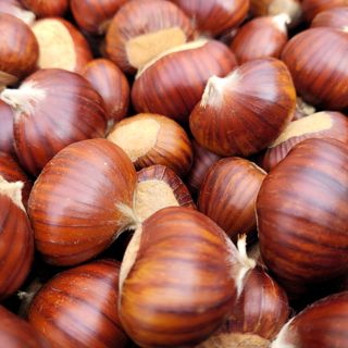 Autunno nel Cuneese tra sapori e misteri: in scena il Re Marrone e le Streghe [VIDEO]