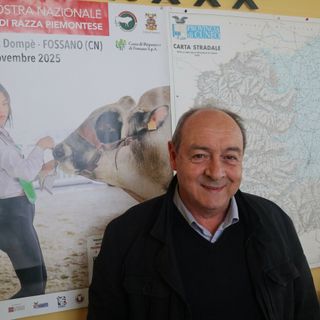 L'assessore Pellegrino: "Mostra bovina manifestazione alto livello"