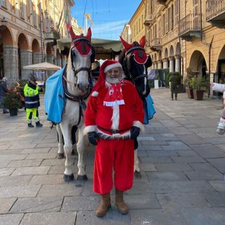 Cavalli sfruttati per gli eventi natalizi a Cuneo? L'azienda agli animalisti: "Benessere garantito. Proteste ingiuste"