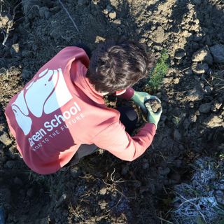 Nasce il Bosco delle Green School: 122 alberi piantati a Serravalle Langhe, uno per ogni scuola Nasce il Bosco delle Green School: 122 alberi piantati a Serravalle Langhe, uno per ogni scuola