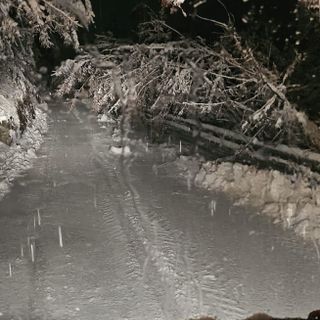 Immagine di repertorio