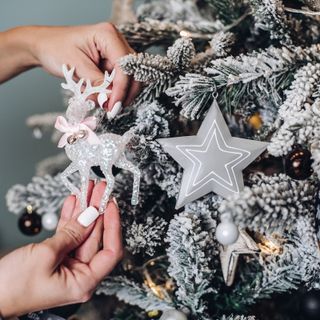 Festa dell’Immacolata: tempo di presepe e albero di Natale