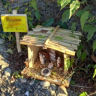 Bra, il Lions Club Bra Host accende il Natale con un programma di eventi speciali Bra, il Lions Club Bra Host accende il Natale con un programma di eventi speciali