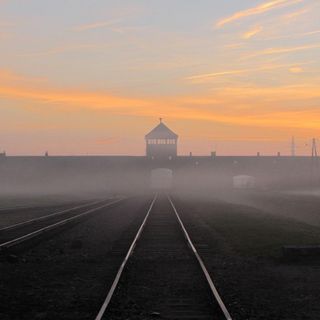 Giornata della Memoria, commemorazioni e illuminazione dedicata del Palazzo Comunale