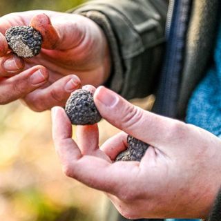 (ph Danilo Ninotto - Archivio Atl del Cuneese)