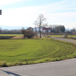 Alba, Strada Gamba di Bosco: sospensione tecnica del TAR, il Comune recepisce le indicazioni