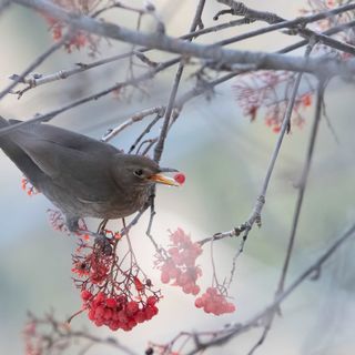 Foto di Enrico Ruggeri