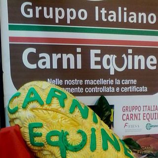 Immagine dalla pagina Facebook ufficiale del Gruppo Italiano Carni Equine