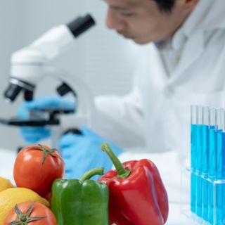 Corso HACCP 2026, Confartigianato Cuneo lancia la prima edizione