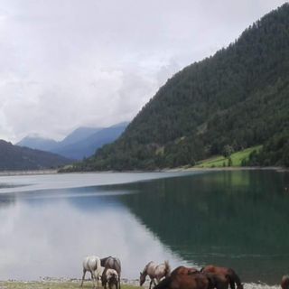 Giornata Mondiale dell’Acqua, quest'anno il tema è "Water and Gender" Giornata Mondiale dell’Acqua, quest'anno il tema è "Water and Gender"