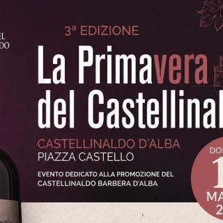 La Primavera del Castellinaldo Barbera d’Alba