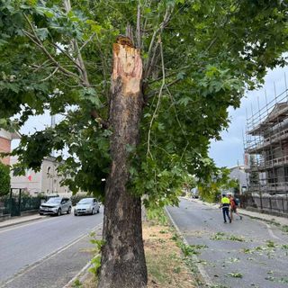 I danni del temporale che ha colpito Alba e le Langhe nei giorni scorsi
