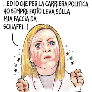 La vignetta di Danilo Paparelli sulle votazioni per la nuova legge elettorale